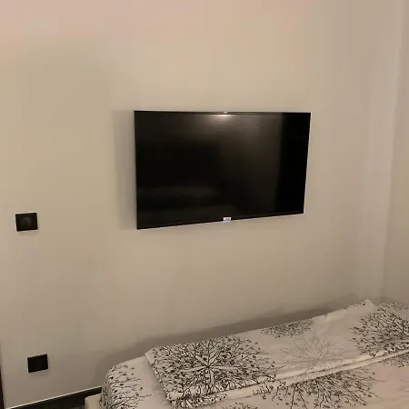 Apartment Lovnice Nice